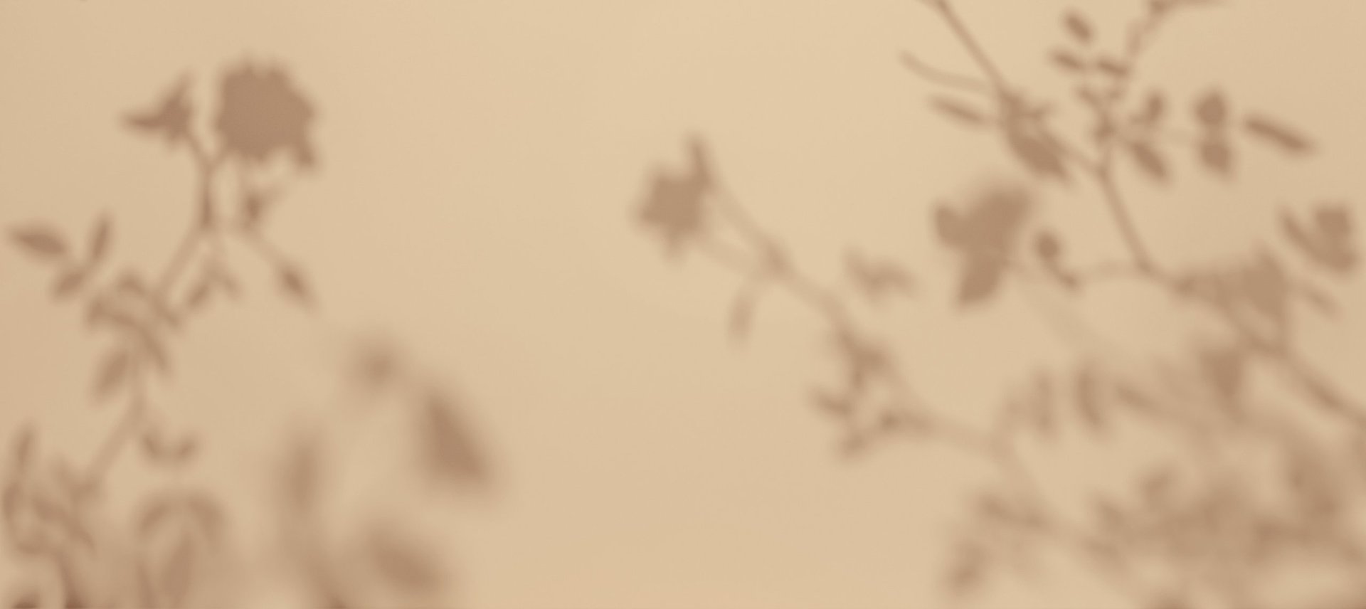 Soft floral shadows cast across a warm beige surface